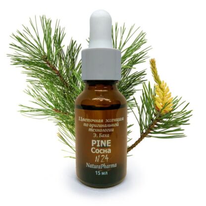 ЦВЕТОЧНАЯ ЭССЕНЦИЯ БАХА № 24 PINE СОСНА ЦВЕТОК САМОУВАЖЕНИЯ 15 МЛ