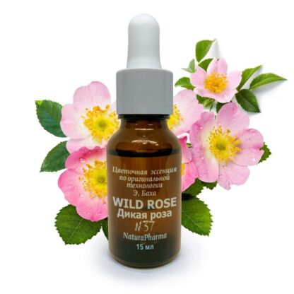 ЦВЕТОЧНАЯ ЭССЕНЦИЯ БАХА № 37 WILD ROSE ДИКАЯ РОЗА ЦВЕТОК ЖИЗНЕРАДОСТНОСТИ 15 МЛ