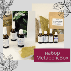 MetabolicBox набор для нормализации метаболических процессов