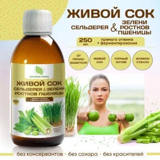 Живой сок Сельдерея и Зелени ростков пшеницы