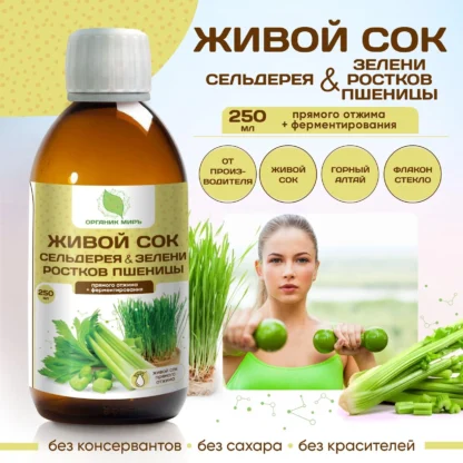 ЖИВОЙ СОК СЕЛЬДЕРЕЯ И ЗЕЛЕНИ РОСТКОВ ПШЕНИЦЫ