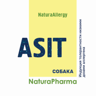 ASIT Собака