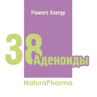 FLOWERS ENERGY № 38 АДЕНОИДЫ