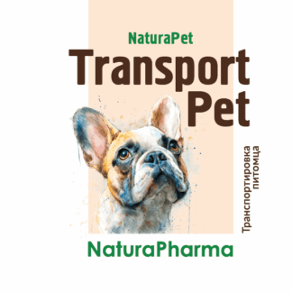 TransportPet Транспортировка питомца