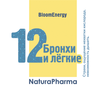 Трансперсональный комплекс № 12 Бронхи и лёгкие