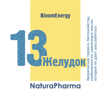 Трансперсональный комплекс № 13 Желудок