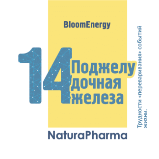 Трансперсональный комплекс № 14 Поджелудочная железа