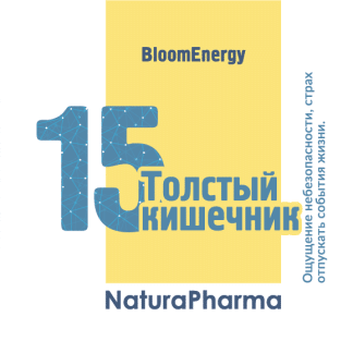 Трансперсональный комплекс № 15 Толстый кишечник