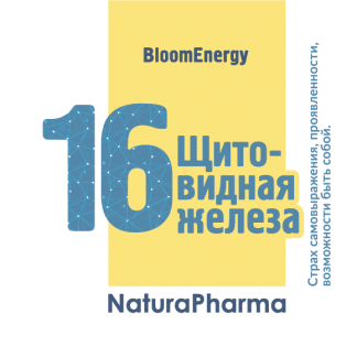 Трансперсональный комплекс № 16 Щитовидная железа