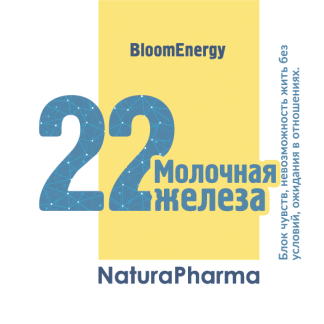 Трансперсональный комплекс № 22 Молочная железа