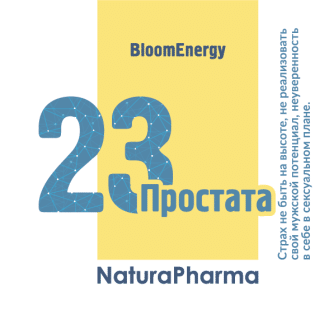 Трансперсональный комплекс № 23 Простата