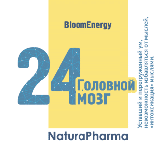 Трансперсональный комплекс № 24 Головной мозг