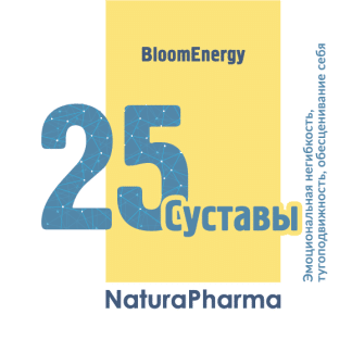 Трансперсональный комплекс № 25 Суставы