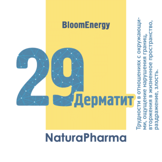 Трансперсональный комплекс № 29 Кожа дерматиты
