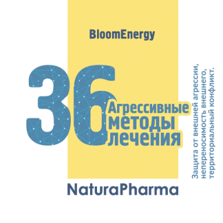 Трансперсональный комплекс № 36 Агрессивные методы лечения