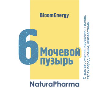 Трансперсональный комплекс № 6 Мочевой пузырь