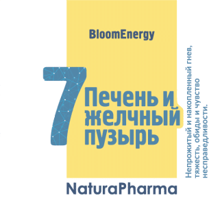 Трансперсональный комплекс № 7 Печень и желчный пузырь