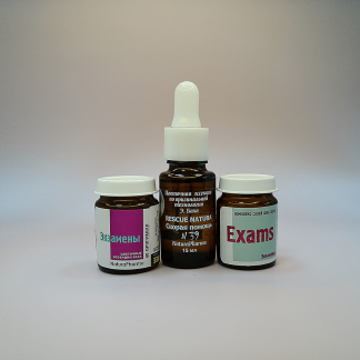 Экзамены Помощь для детей. Готовое решение.