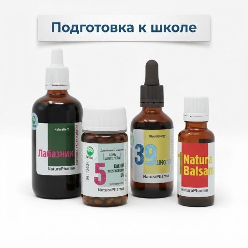 ПОДГОТОВКА К ШКОЛЕ. ГОТОВОЕ РЕШЕНИЕ.